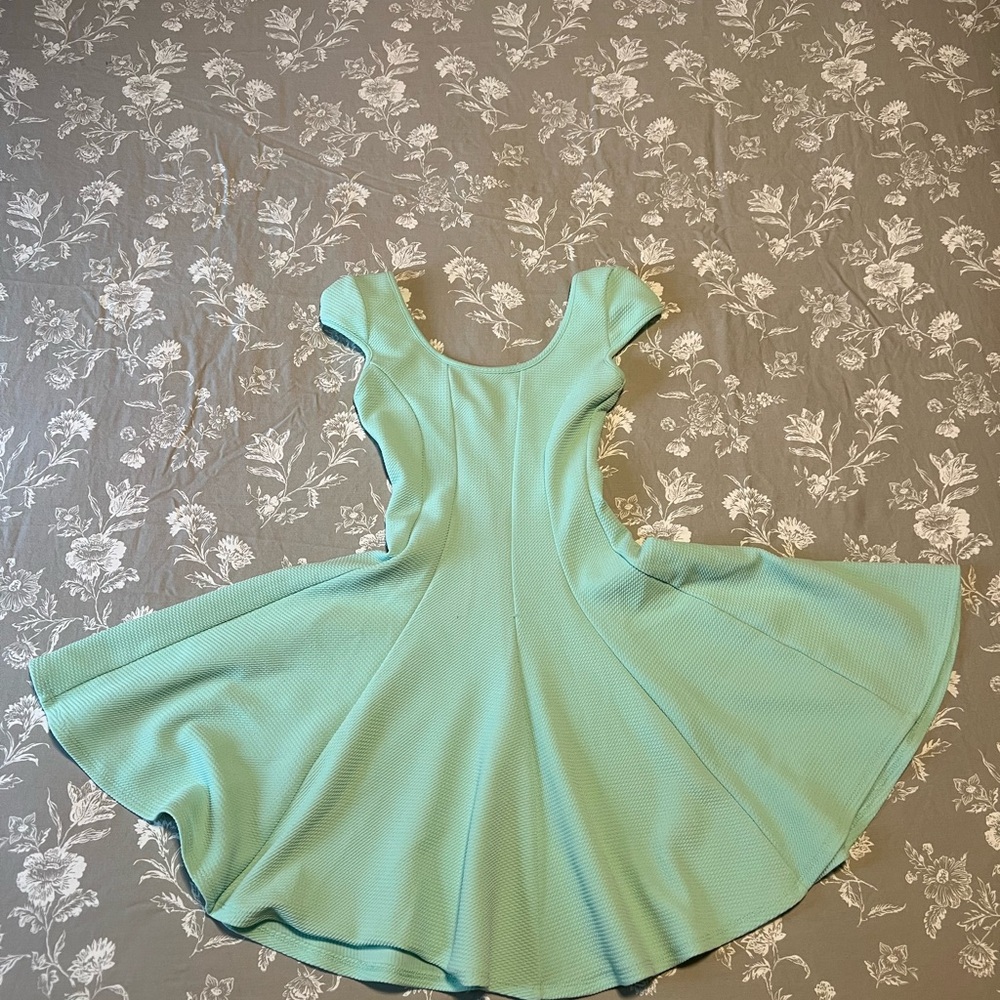 Mint Green Skater Dress